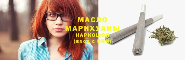 дмт Заводоуковск