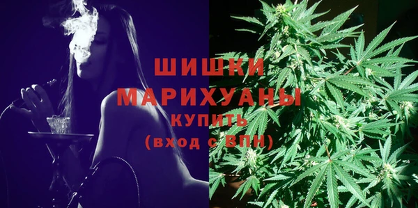 дмт Заводоуковск