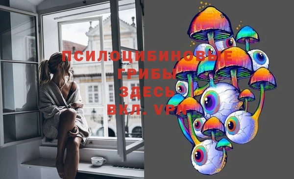 альфа пвп Заволжск