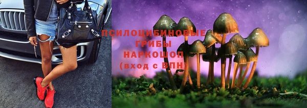 альфа пвп Заволжск