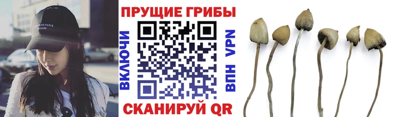 Псилоцибиновые грибы MAGIC MUSHROOMS Лесозаводск